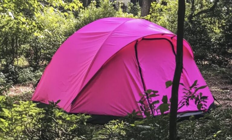 Après être rentrée chez moi après les funérailles de ma fille, j’ai découvert une tente dans mon jardin ; ce que j’y ai trouvé m’a horrifiée.