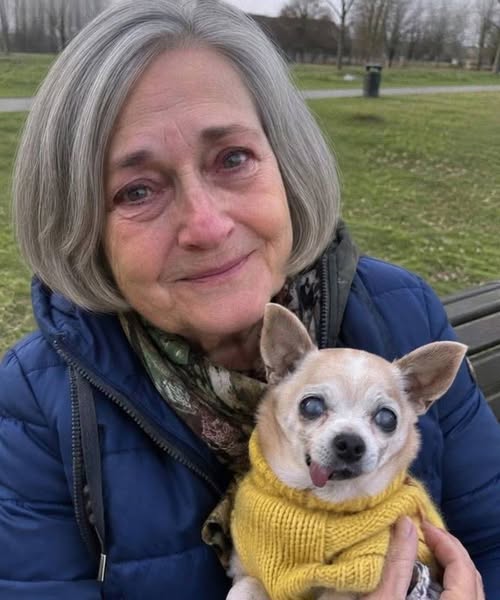 Un propriétaire de café m’a donné le coup de pied et mon vieux Chihuahua de son café « Friendly » parce que je n’avais commandé que du café – puis un étranger est entré et lui a posé une question qui l’a fait devenir pâle